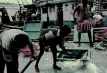 Offbeat: Modern slavery promotes overfishing —