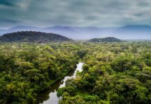 Offbeat: Financial giants can have a pivotal role for climate stability —