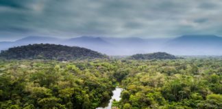 Offbeat: Financial giants can have a pivotal role for climate stability —