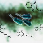 Study: Disrupting communication in infectious bacteria — (Details)