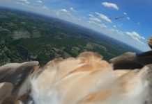 Research: Social network helps birds pick best way of using thermal updrafts —