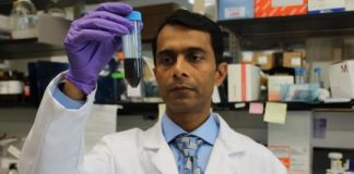 Tech: Tiny molecule has big effect in childhood brain tumor studies — (Report)