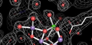 Research: Images of photosynthetic protein complex splitting water —