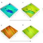 Study: Novel technique provides controlled experimental protocol for archeological investigations — (Details)