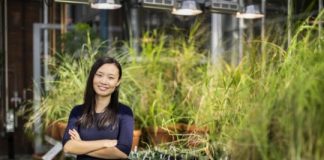 Research: Dry conditions may have helped a new type of plant gain a foothold on Earth —