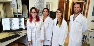 Study: Body clock researchers prevent liver cancer growth in mice — (Details)