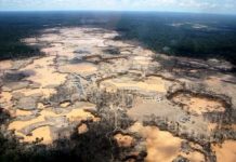 Research: Rainforest destruction from gold mining hits all-time high in Peru —