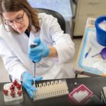 Study: Immune cells cause cholesterol to be trapped in blood vessels — (Details)