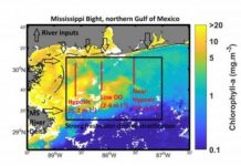 Research: What could cause the Mississippi Bight to become hypoxic? —