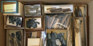 Research: Ancient child’s tooth reveals picture of Alaska’s early inhabitants —