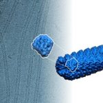 Study: Scientists’ newfound ability to create these components could lead to constructing entirely novel, useful materials unlike any found in nature — (Details)