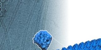 Study: Scientists’ newfound ability to create these components could lead to constructing entirely novel, useful materials unlike any found in nature — (Details)