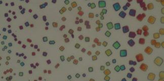 Tech: Sandwich structure of nanocrystals as quantum light source — (Report)