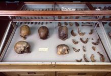 Research: DNA of world’s oldest natural mummy unlocks secrets of Ice Age tribes in the Americas —