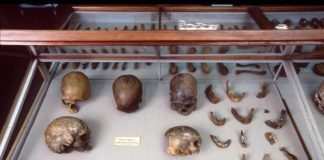 Research: DNA of world’s oldest natural mummy unlocks secrets of Ice Age tribes in the Americas —