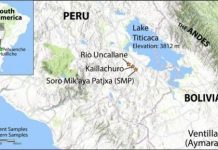 Research: History of early settlement and survival in Andean highlands revealed by ancient genomes —