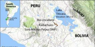 Research: History of early settlement and survival in Andean highlands revealed by ancient genomes —