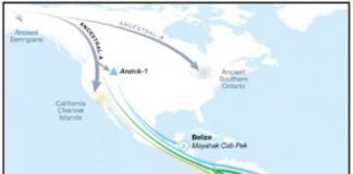 Research: Ancient DNA evidence reveals two unknown migrations from North to South America —