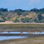 Study: Flood dynamics increase population vulnerability to waterborne disease and climate — (Details)