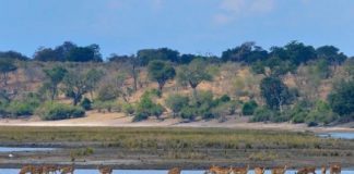 Study: Flood dynamics increase population vulnerability to waterborne disease and climate — (Details)