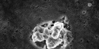 Study: Do kitchen items shed antimicrobial nanoparticles after use? (Details)