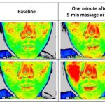 Study: The science behind face massage rollers — (Details)