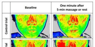 Study: The science behind face massage rollers — (Details)