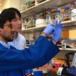 Study: Technological innovation can be used to rapidly make new antibodies and pharmaceutical enzymes — (Details)