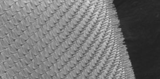 Study: Minimally invasive patch delivers exact doses directly into cells, lessens pain, toxicity — (Details)