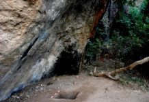 Research: New light cast on fishing throughout history —