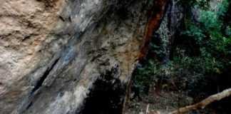 Research: New light cast on fishing throughout history —