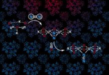 Research: Nitrogen fixation in ambient conditions —