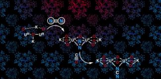 Research: Nitrogen fixation in ambient conditions —
