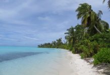 Research: Rising sea levels may build, rather than destroy, coral reef islands —