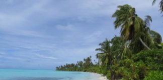 Research: Rising sea levels may build, rather than destroy, coral reef islands —