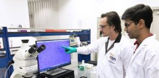 Tech: Solution in fight against fake graphene — (Report)