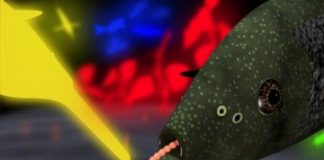 Research: Electrolocation by weakly electric fish shows astonishing similarities to vision —