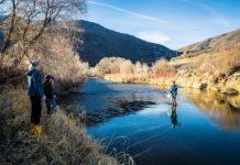 Research: Carbon goes with the flow —