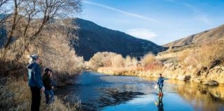 Research: Carbon goes with the flow —