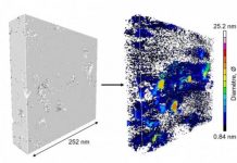 Tech: Detailed 3D imaging of kerogen, a source of petroleum and natural gas, could improve estimates of recoverable amounts — (Report)