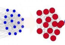 Offbeat: Study explains how political groupings become extreme and divided —