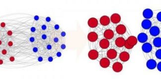 Offbeat: Study explains how political groupings become extreme and divided —