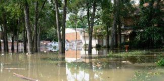 Research: Houston’s urban sprawl increased rainfall, flooding during Hurricane Harvey —