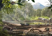 Research: Deep-time evolution of animal life on islands —