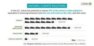Offbeat: US forests, wetlands, and agricultural lands could absorb a fifth of greenhouse gas pollution — equivalent to emissions from all US vehicles —
