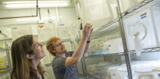 Research: Mosquito genome opens new avenues for reducing insect-borne disease —