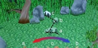 Tech: Sensors give humans magnetoception — (Report)