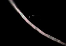 Research: Presence of textile microfibers from washing machines in marine floors —