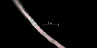 Research: Presence of textile microfibers from washing machines in marine floors —