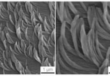 Tech: Nanofiber carpet could lead to new sticky or insulating surfaces — (Report)